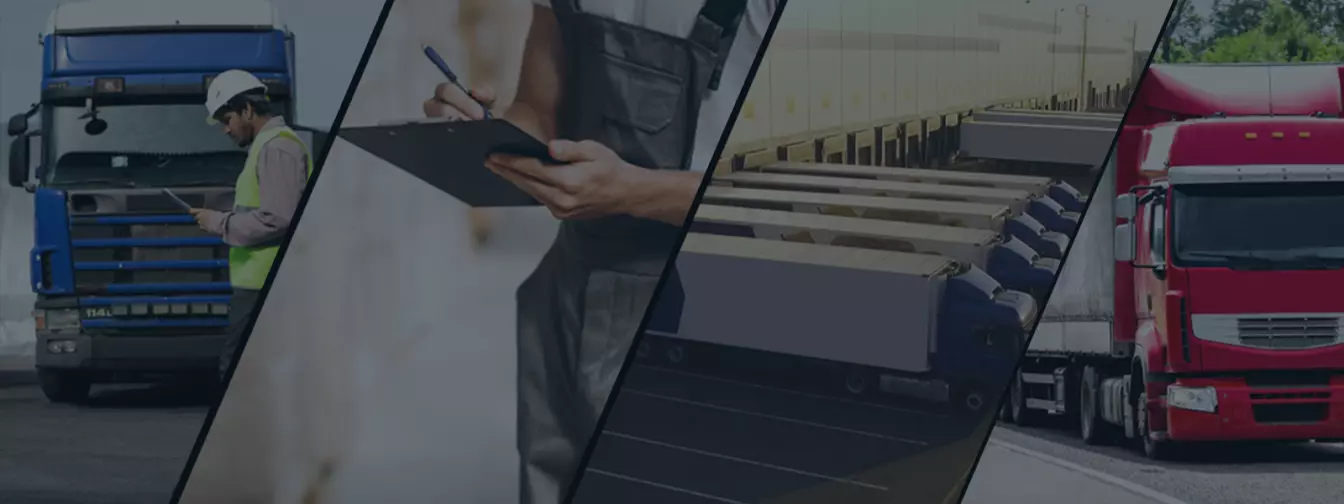 Export, import és forgalmazás