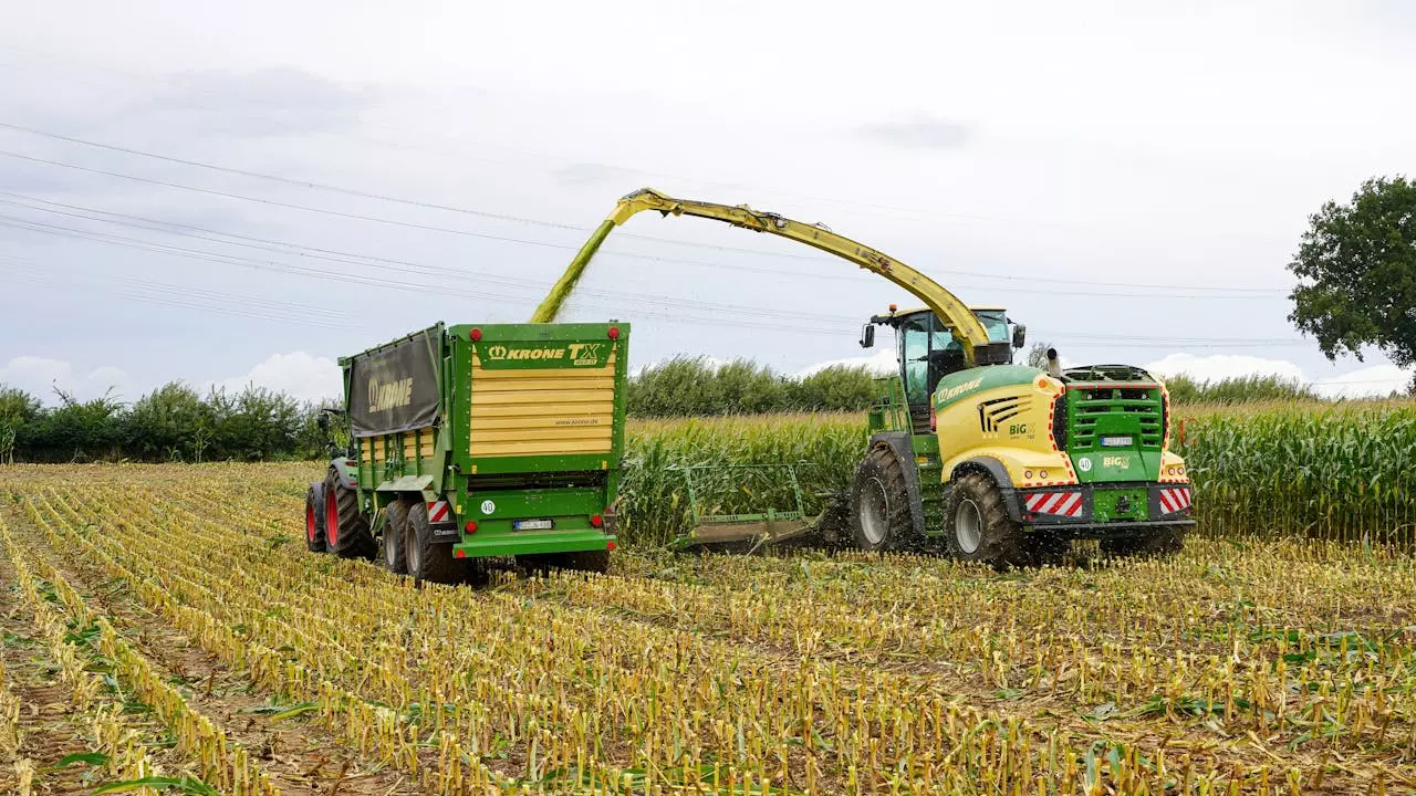 Gépiszárzúzás,Borsodmegye1