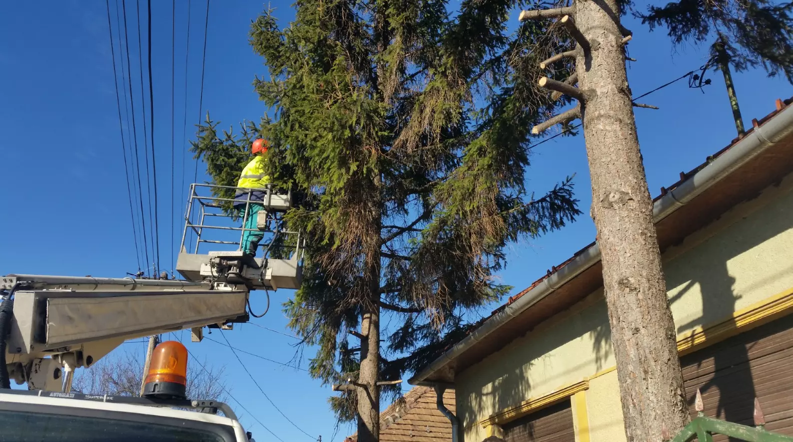 Ipariéslakosságizöldterületekkarbantartása,Halásztelek,Magyarország1 Ipariéslakosságizöldterületekkarbantartása,Halásztelek,Magyarország1