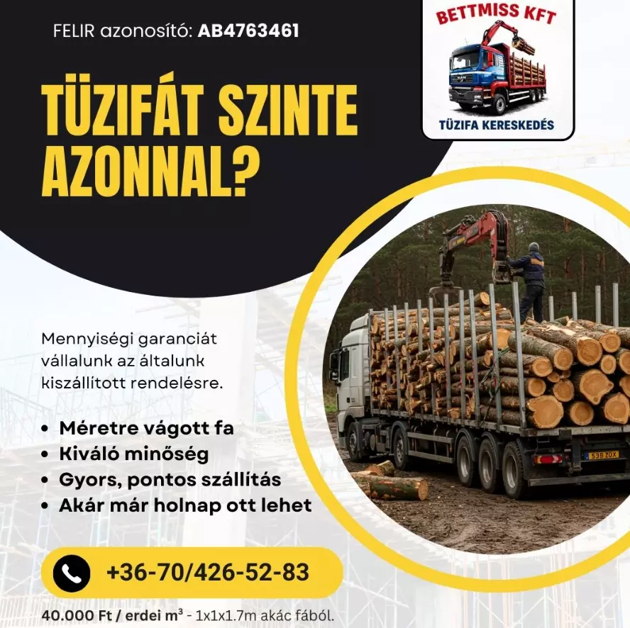 Minőségitűzifaházhozszállítással,Borsodmegye2 Minőségitűzifaházhozszállítással,Borsodmegye2