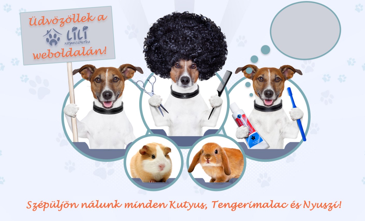 Profi_kutyakozmetikus_Pécs
