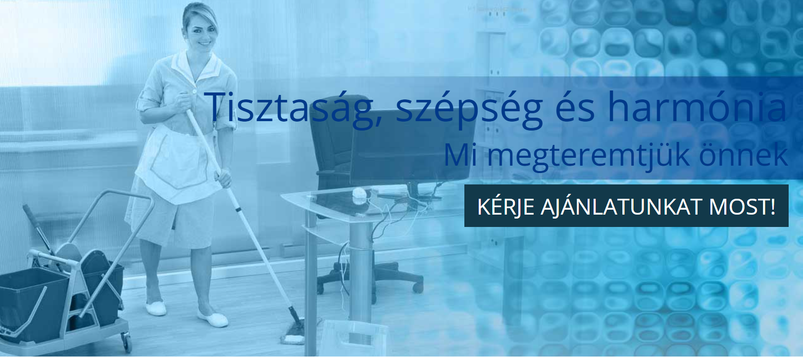 Profi_takarítócég_Budapest_Pest_megye2