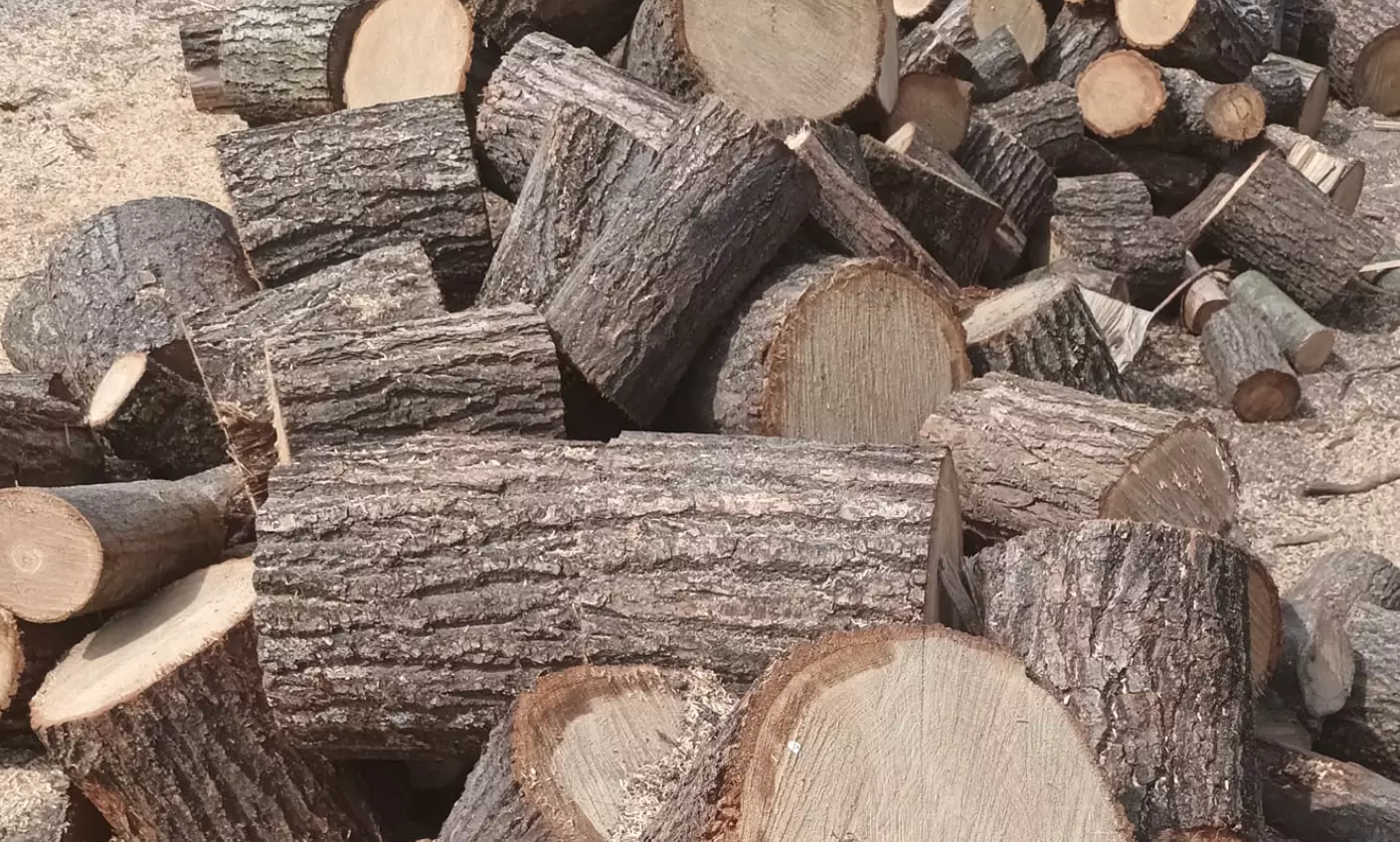 Teljeskörűfakitermelés,Hajdú-Biharmegye2