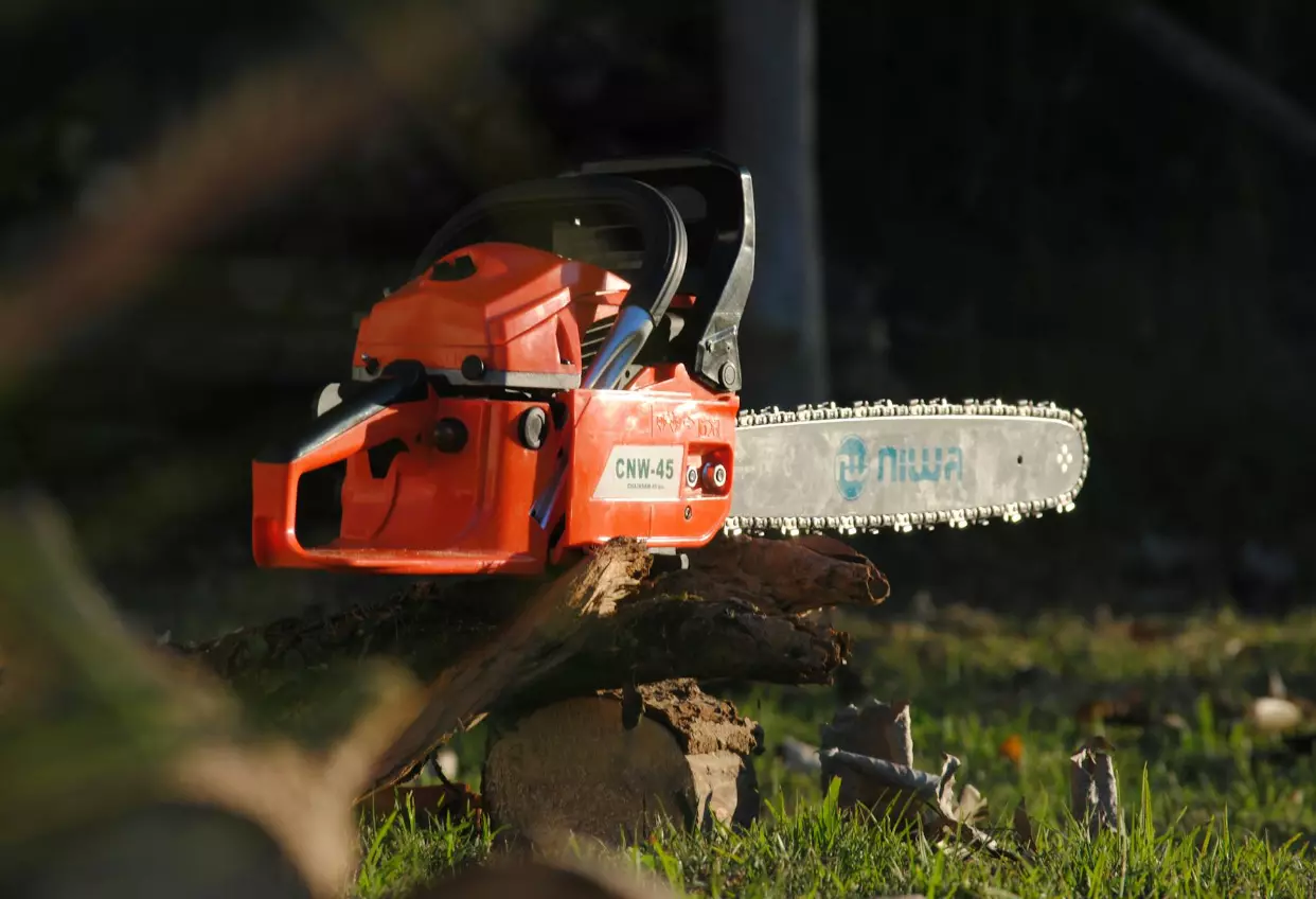 Veszélyesfákkivágása,Veszprémmegye2