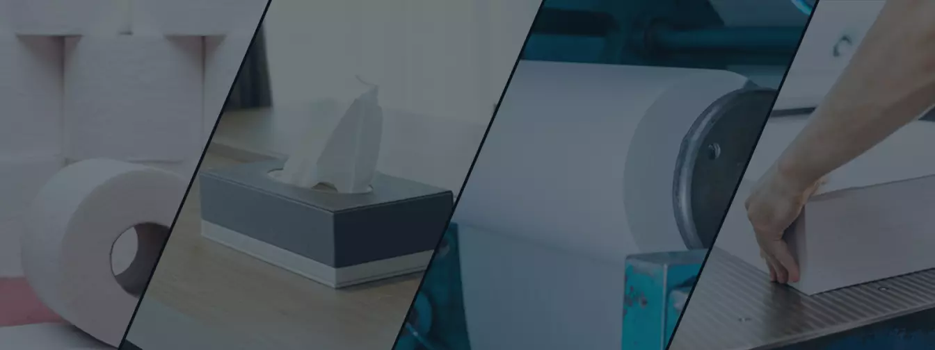 Papír- és cellulózipar