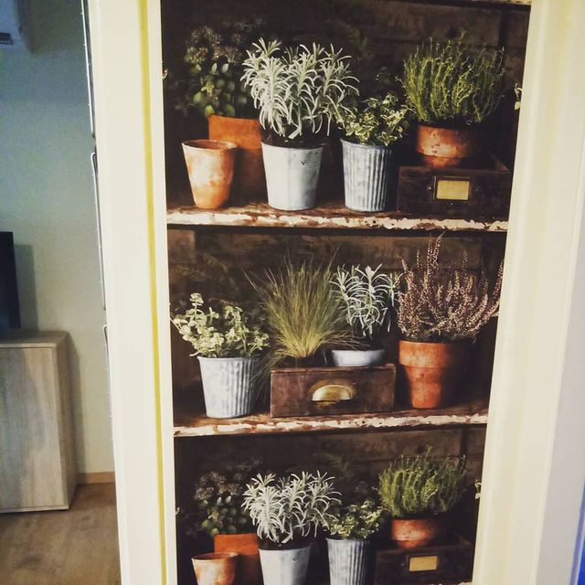 Minőségi tapéta webshop, Budapest 7.jpg