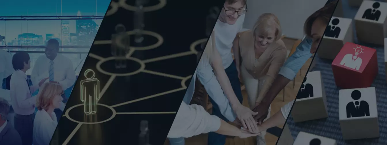 Szervezetek és egyesületek