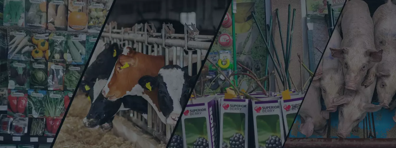 Fitogyógyszerek és állati takarmányok