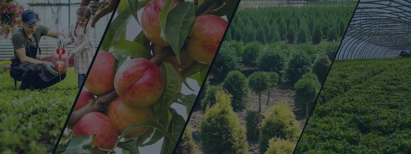 Faiskolák és kertészeti központok