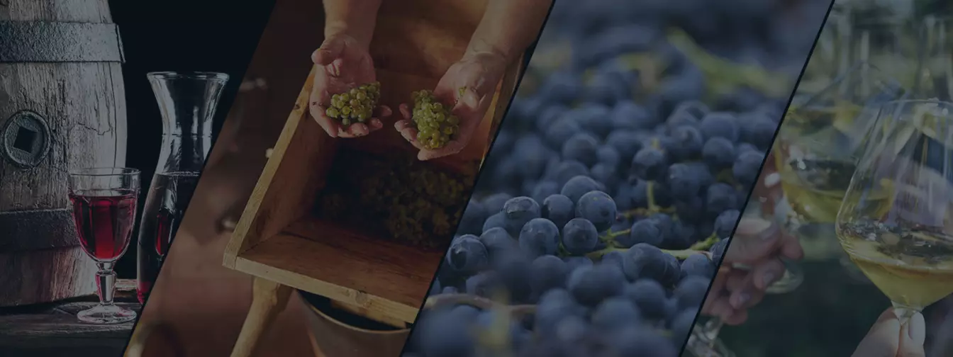 Borüzletek és borospincék