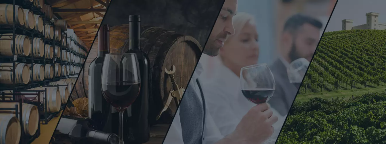 Borüzletek és borospincék