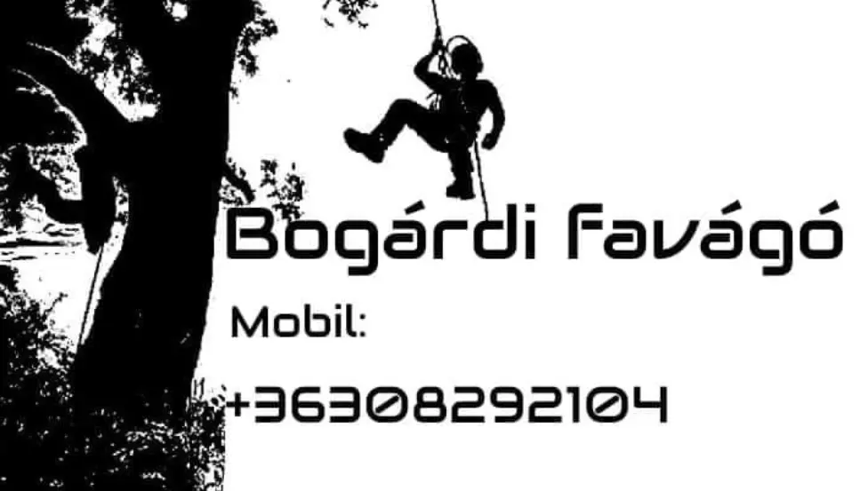 Bogárdi favágó