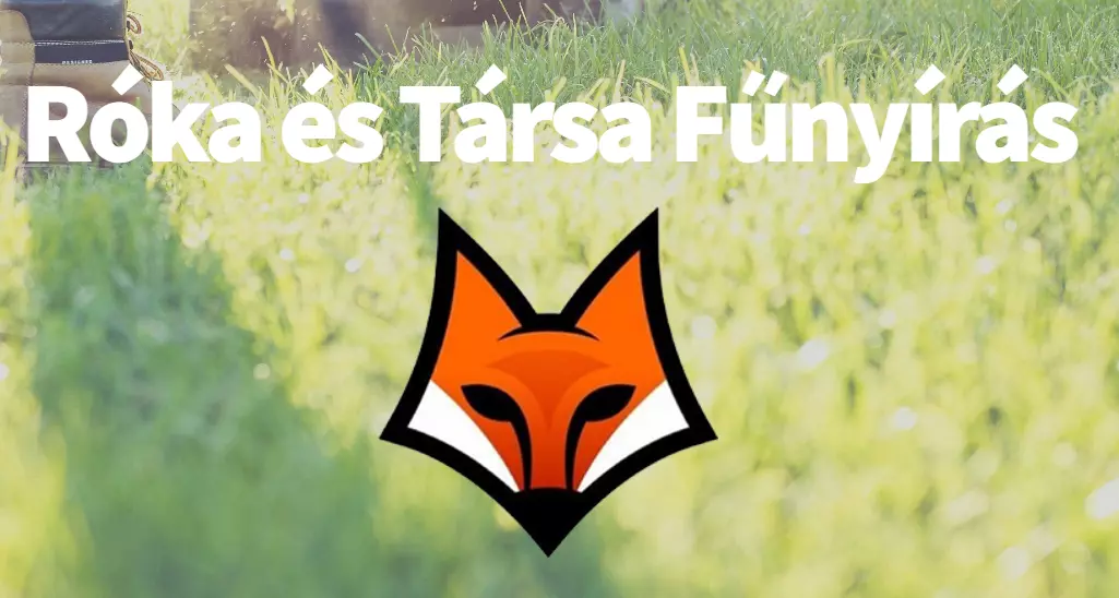 RÓKA ÉS TÁRSA